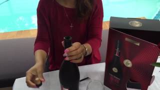 Remy Martin VSOP Cognac Champagne Gift Set [upl. by Kristo]