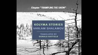 Audiobook KOLYMA STORIES by VARLAM SHALAMOV Chapter TRAMPLING THE SNOW [upl. by Husch7]