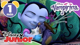 Vampirina  Song  Perfectly Imperfect ❤️  Disney Kids [upl. by Intisar882]