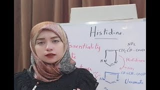 Protein Metabolism Session 14 Histidine Amino Acid Metabolism [upl. by Nlycaj]