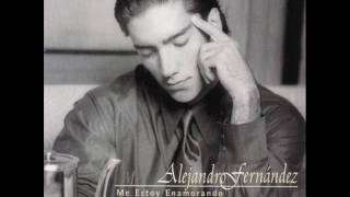 Alejandro Fernandez  Yo nací para amarte [upl. by Erdnassak]