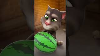 Talking Tom live 11 [upl. by Harneen615]