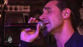 Serj Tankian  Cornucopia live [upl. by Nelsen]