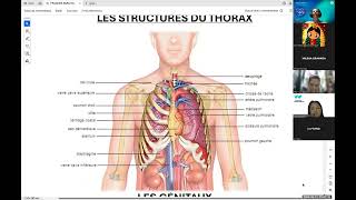 Français Soins Infirmiers 2 [upl. by Orazio]