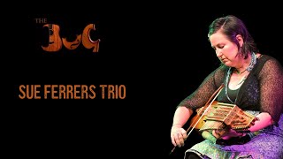 Sue Ferrers Trio Live at The Bug  Brisbane Unplugged Gigs [upl. by Anneres791]