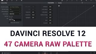 DaVinci Resolve 12  47 Camera RAW Palette [upl. by Alcott410]