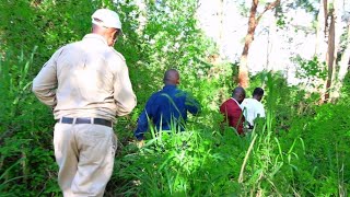 Inside dangerous Aberdare ranges😭😭See where we found mama kafue is mama kafue dead😭Watch this so sad [upl. by Amerd]