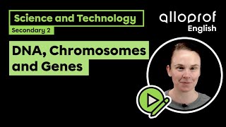 DNA Chromosomes and Genes Science and Technology  Alloprof [upl. by Atims717]