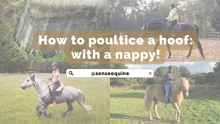 How to poultice a horse’s hoof  with a nappy  diaper [upl. by Alejandrina]