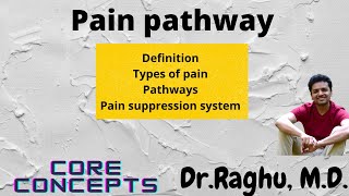 Pain pathway  Pain physiology  Pain suppression system  Gate control theory  Neurophysiology [upl. by Hogarth526]