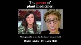 Gabor Maté  Plant Medicines  Ep 164 shorts [upl. by Nylicaj]