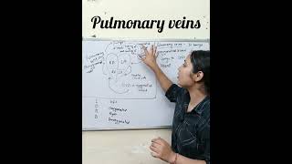 Pulmonary veins l class 10 [upl. by Marcelia]