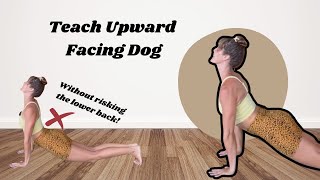 How To Teach Accessible amp Sustainable Upward Facing Dog [upl. by Mary]