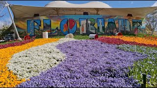 Floriade 🌷 Explore ‘Art in Bloom’ at Australia’s Biggest Spring Festival Canberra [upl. by Sproul]