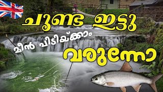 മീൻ പിടുത്തം യുകെയിൽ Fishing Uk 2024 Kilnsey Park  Skipton  Uklife  Malayalam  DampD Sam Vlogs [upl. by Darrick]