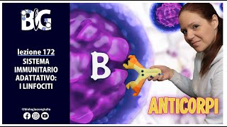 SISTEMA IMMUNITARIO ADATTATIVO i LINFOCITI [upl. by Nyleahcim]