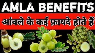 Amla Ke Fayde  Amla Khane Se Kya Hota Hai  Benefits Of Amla  NETWORKOFHISTORY [upl. by Eenor193]