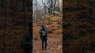 i spent october in a small cabin in the woods and wrote this song 🍂 canada solitude [upl. by Jorgenson]