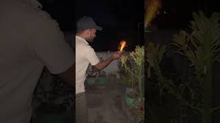 Atom attacking on plestine plestine plestinewar gaza bomb sutlibomb diwali chhathpooja [upl. by Disini]