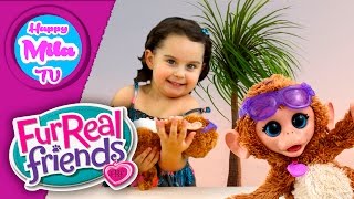 How To Monkey Furreal Friends Baby Cuddles My Giggly Monkey Hasbro  HappyMilaTV 129 [upl. by Eirovi]