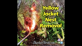 Yellowjacket Nest Removal [upl. by Egiarc106]