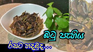 බටු පැහිය 🍆🍲  වම්බටු මේ විදියට හදල තියෙනවද  Brinjal recipe [upl. by Norby]