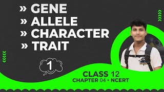 Define GeneAlleleCharacterTraitGenotype amp Phenotype • Principle of Inheritance amp Variation [upl. by Finah]