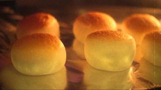 Roasting Marshmallows in a Toaster Oven D [upl. by Lesko910]