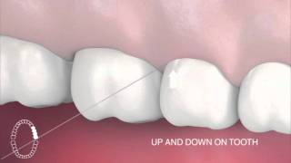 How to use interdental floss [upl. by Lorrin]