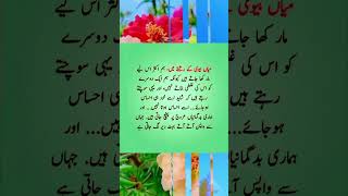 میاں بیوی کے رشتے flute music cover ringtone recorder quotes ncsringtone musiclove poetry [upl. by Esmond]