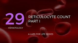 Reticulocyte Count Part I [upl. by Nolra]