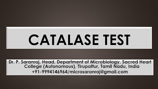 Catalase test [upl. by Zebaj]