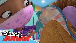 Doktor McStuffins Lejonet Svantes krossade hjärta  Disney Junior Sverige [upl. by Tab]