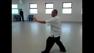 Xing Yi Quan simple 5 element linking form  Liu Deming [upl. by Eita]