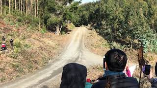 Accident Thierry Neuville WRC chile 2019 crash [upl. by Romalda]