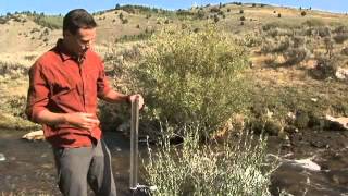 How to Measure Water Turbidity [upl. by Noet]