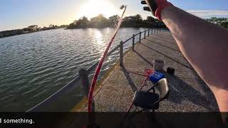 Mawson Lakes Magnet Fishing 9 November 2024 [upl. by Grussing968]