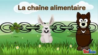 La chaîne alimentaire [upl. by Cnahc555]