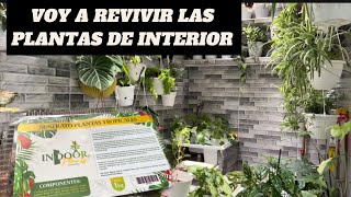 DÁNDOLE VIDA A MIS PLANTAS CON UN NUEVO SUSTRATO PREMIUM [upl. by Icnarf]