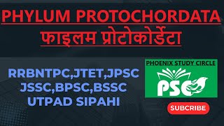 फाइलम प्रोटोकोर्डेटाPHYLUM PROTOCHORDATA [upl. by Nathalia663]