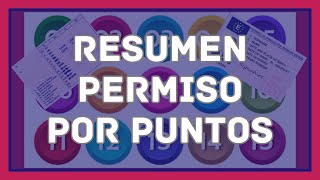 ®️ RESUMEN PERMISO POR PUNTOS  EXAMEN DGT 2024  TEÓRICA PERMISO B [upl. by Sidnee]