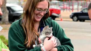 Make a Difference at Colorado State University [upl. by Elboa937]