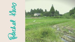 Rice Fields and Ryokans in Chiba [upl. by Etteb]