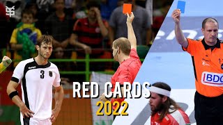 Craziest Red amp Blue Cards ● Handball ● 2022 ᴴᴰ [upl. by Eciened355]