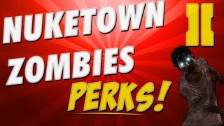 Black Ops 2 Nuketown Zombies Perk Location Spawn System Explained [upl. by Leipzig]