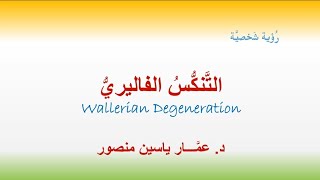 التَّنكُّسُ الفاليري رؤيةٌ شخصيَّةٌ Wallerian Degeneration [upl. by Nedyaj]