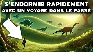 4 heures de Faits Préhistoriques pour Sendormir Rapidement  Un INCROYABLE voyage dans le Passé [upl. by Imeon]