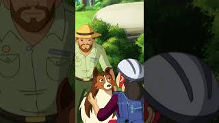 Everyone loves Lassi lassie adventure ytshortsindia ytshorts ytviralshorts ytshortvideos [upl. by Quintessa976]