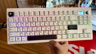 Montando um Teclado Mecânico Custo Beneficio  GMK87 TKL com Telinha [upl. by Yrred407]