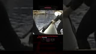 horrific incident at SeaWorld where trainer Dawn Brancheau was brutally killed [upl. by Piwowar]